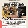 9/20、9/23譲渡会参加　銀くん サムネイル5