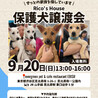 9月5日譲渡会参加　レッジャーノくん サムネイル5