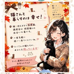 子猫たくさん！保護猫譲渡会　名古屋市