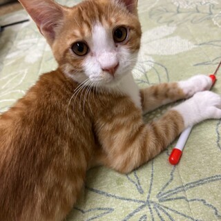 遊び盛りのモ〜くん