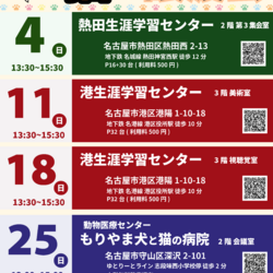 ▼猫の譲渡会▼名古屋市港区