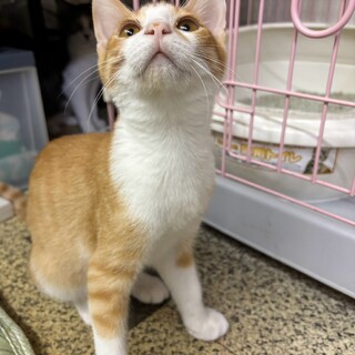 遊び盛りのク〜くん