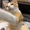 遊び盛りのク〜くん