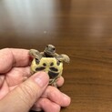 ヘルマンリクガメの子ガメ　里親さん募集