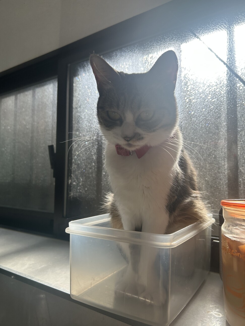 チロル