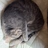 おてんば娘のメル サムネイル7