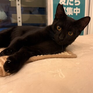 抱っこもできる✨元気くん
