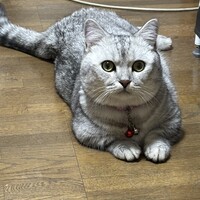 みる