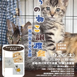 まちのねこ譲渡会