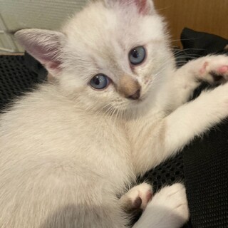 おっとりマイペースな穂ちゃん♡