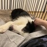 お家フリーなのに離れない