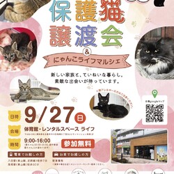 5団体合同保護猫譲渡会　名古屋市