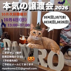 本気の譲渡会