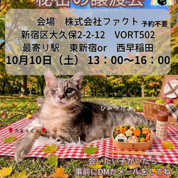 ねこけんFACT譲渡会