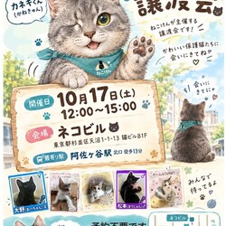 ねこけん阿佐ヶ谷譲渡会