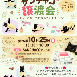 ねこけんサンチャコ譲渡会