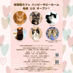 動物病院の保護猫譲渡会