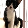 コールちゃん サムネイル7