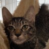 ラビちゃん サムネイル2