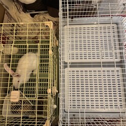 引っ越し