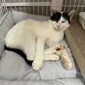 スリゴロ抱っこも◯ごまだんご⭐︎３才♂