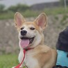 6ヶ月の男の子、一朔 サムネイル3