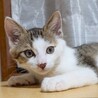 10/4高田馬場★オリオンくん★明るくて甘々元気
