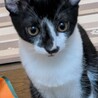 4カ月の仲良し三姉妹 サムネイル3