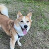 ソラくん サムネイル2