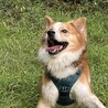 ソラくん サムネイル3
