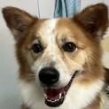 ソラくん