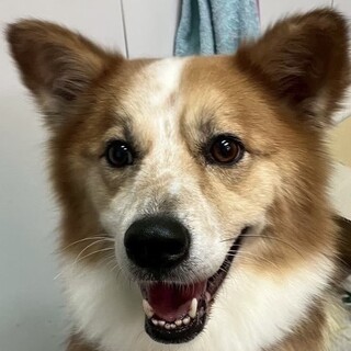 ソラくん