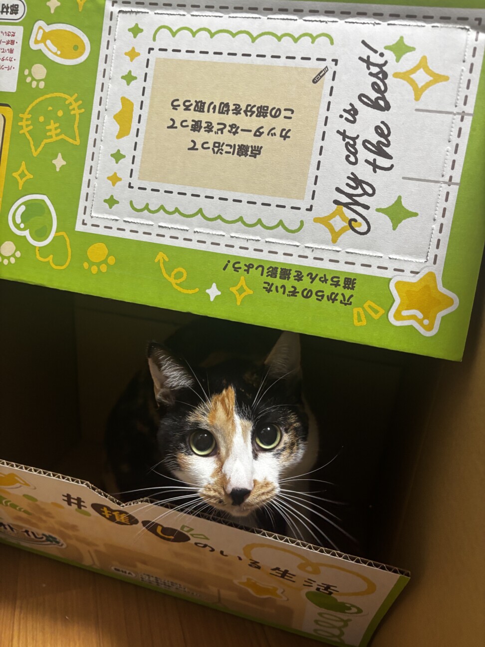 柚子