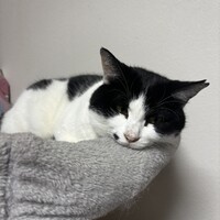 きぃー