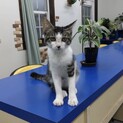 穏やか抱っこ大好き3ヶ月