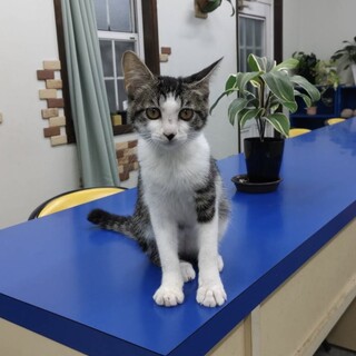 穏やか抱っこ大好き3ヶ月