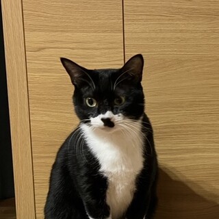 里親募集