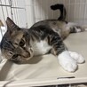 調整中のため一旦ストップさせていただきます サムネイル3