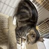 調整中のため一旦ストップさせていただきます サムネイル5