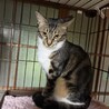 調整中のため一旦ストップさせていただきます サムネイル2