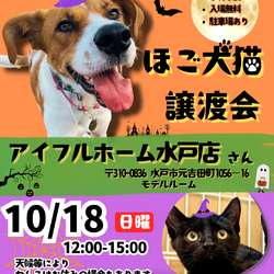 保護いぬねこ譲渡会 at アイフルホーム水戸店さん