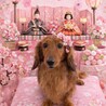 里親様、募集します！ サムネイル2