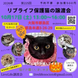 LiveLife譲渡会inキャットソシオンギャラリー