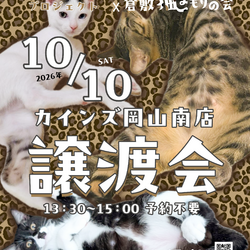 保護猫譲渡会（予約不要）