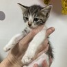 8月20日産まれの女の子 サムネイル2