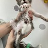 8月20日産まれの女の子 サムネイル3