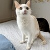 甘えん坊☆拓くん☆ サムネイル2