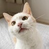 甘えん坊☆拓くん☆ サムネイル3