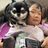 わかっぺ