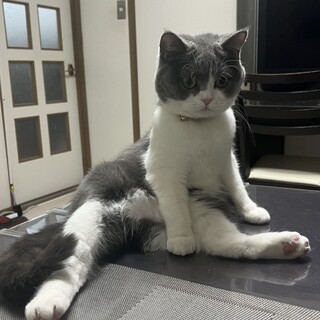 一生涯可愛がってくださる方探してます。
